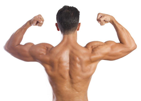 Muscle man back Gym Rosebud
